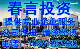 2011年公司票務代理轉讓價格及型號規格解析