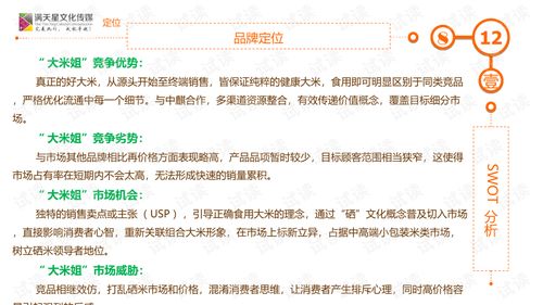 大米姐品牌營銷策劃案商業(yè)計(jì)劃書